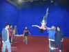 Filename=liu_yifei_00007.jpg
Filesize=60KB
Dimensions=800x600
Date added=Jun 27, 2007 liu_yifei_00007.jpg