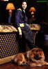 Filename=liu_yifei_08~2.jpg
Filesize=101KB
Dimensions=600x854
Date added=Nov 17, 2006 liu_yifei_08~2.jpg