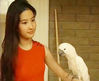Filename=liu_yifei_11~4.jpg
Filesize=30KB
Dimensions=500x409
Date added=May 24, 2007 liu_yifei_11~4.jpg