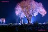 Filename=liuyifei_16.jpg
Filesize=43KB
Dimensions=800x534
Date added=Sep 16, 2006 liuyifei_16.jpg